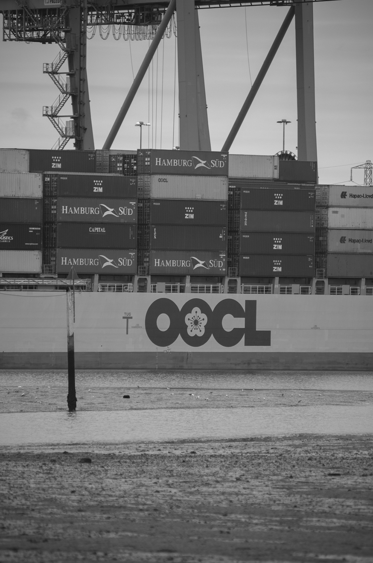 port docks trade ship container sea Coast Estuary