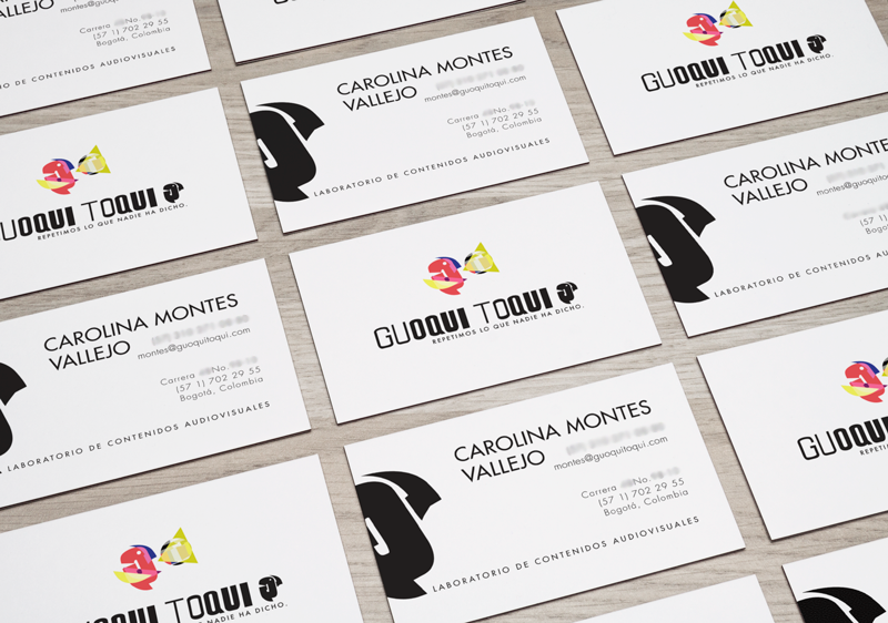 bird parrot loro bogota producción audiovisual colombia branding  colorful typography   editorial