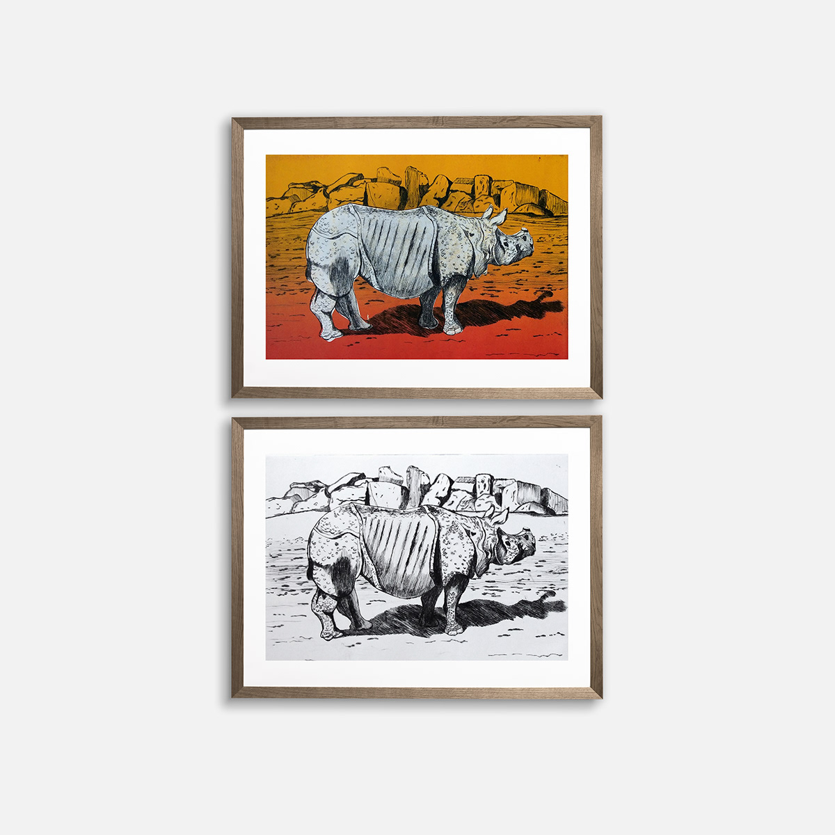 DryPoint Rhinoceros printmaking engraving animals Nature
