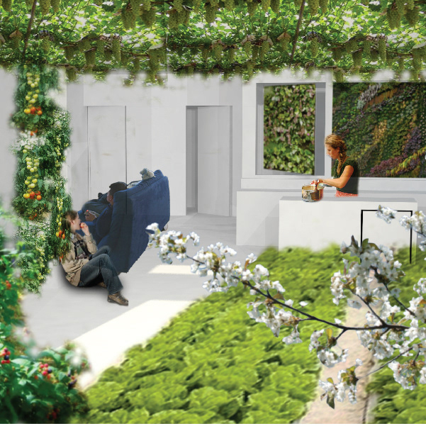 Parkdale Toronto farming urban farming aquaponics housing Homes house Urban Housing live-work green Sustainability