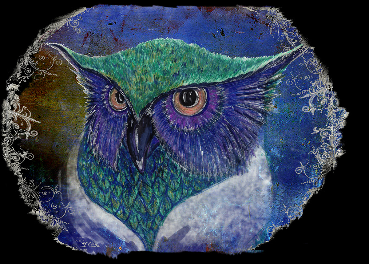 Drawing  digital enhancement whimsey owl
