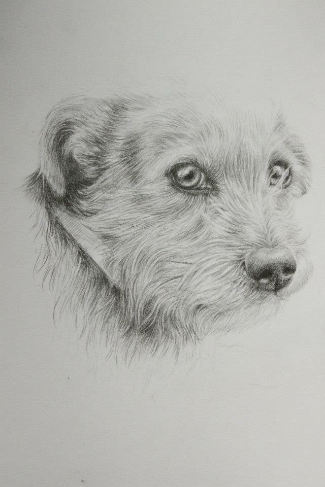 Drawing  portrait dog child commission grandparents sketch sketchbook