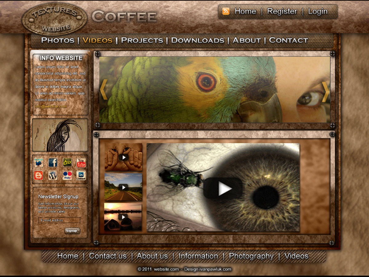 coffe website  template  free download cafe creative design  ivan pawluk