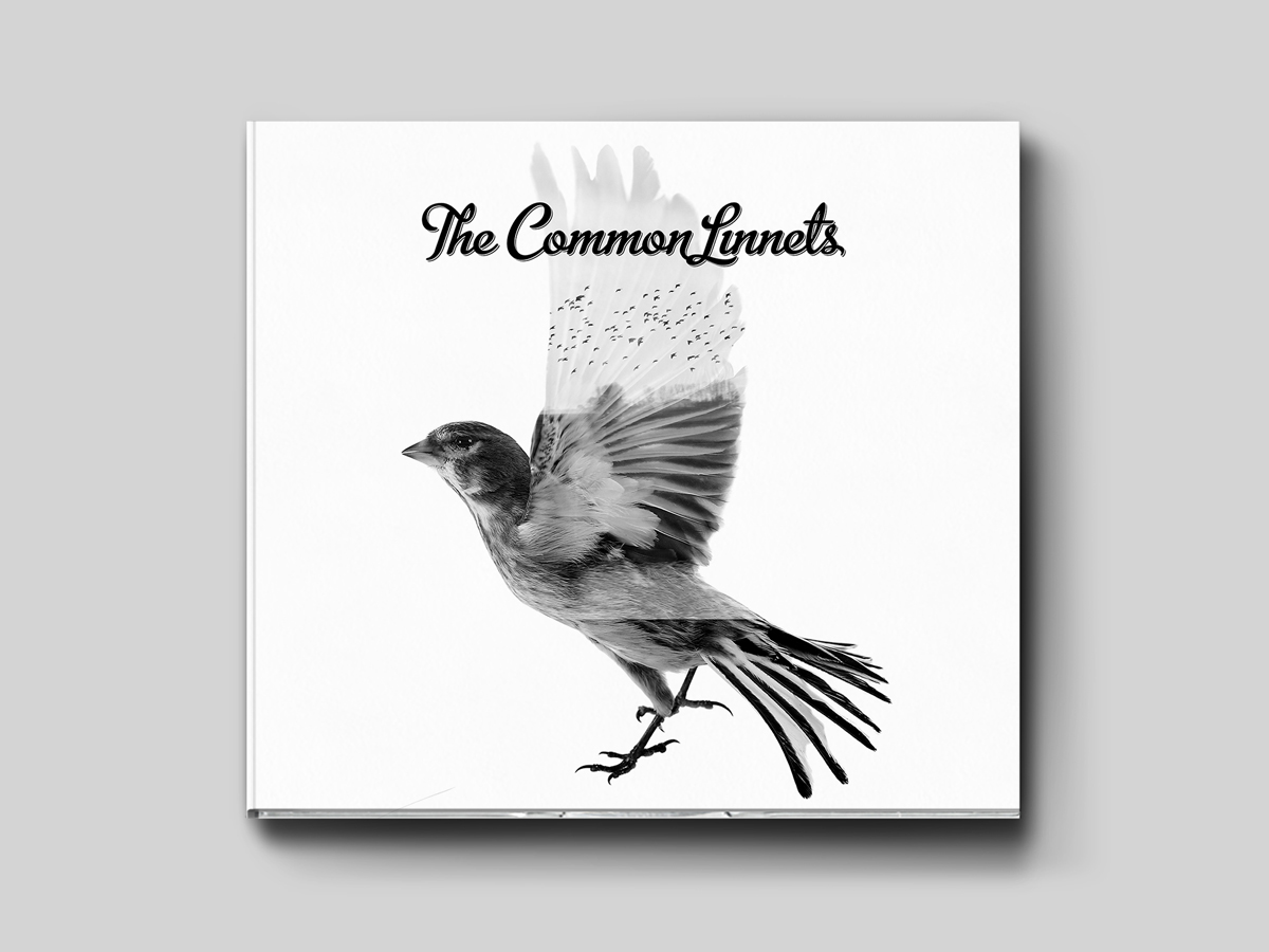 the common linnets bird birds CD cover artwork Album cd artwork design Ilse DeLange waylon eurovision song contest dutch The Netherlands rens dekker name