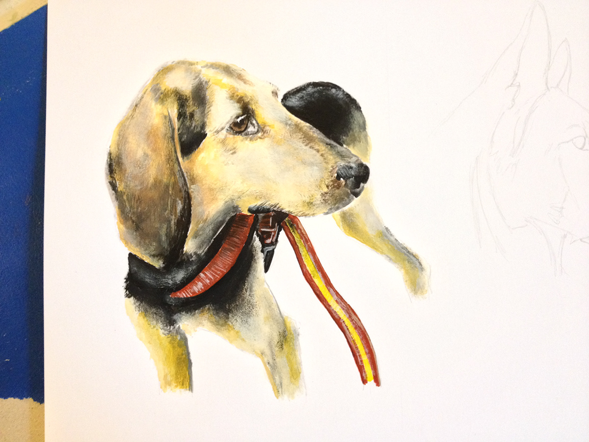 #dog #animal #illustration #acrylic #nature #love #friend #Portrait #passion #personal #realistic  #avatar #cover   #picture   #cute 