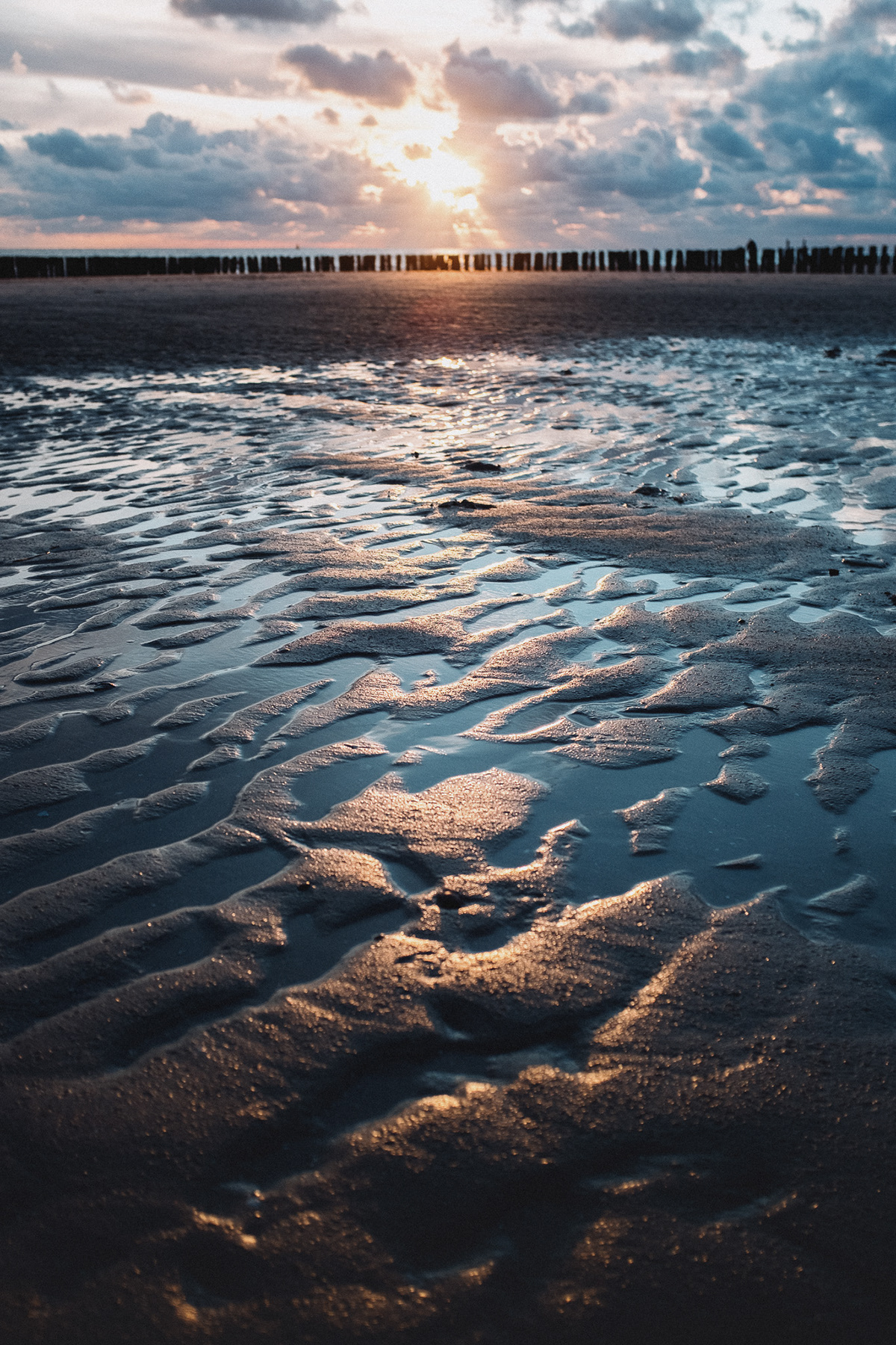 beach dunes Netherlands sailing sea Seashells sunset