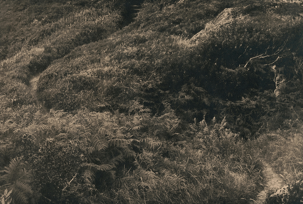 handcrafted alternative Photography  irish landscapes Cyanotypes history Memory paths digital