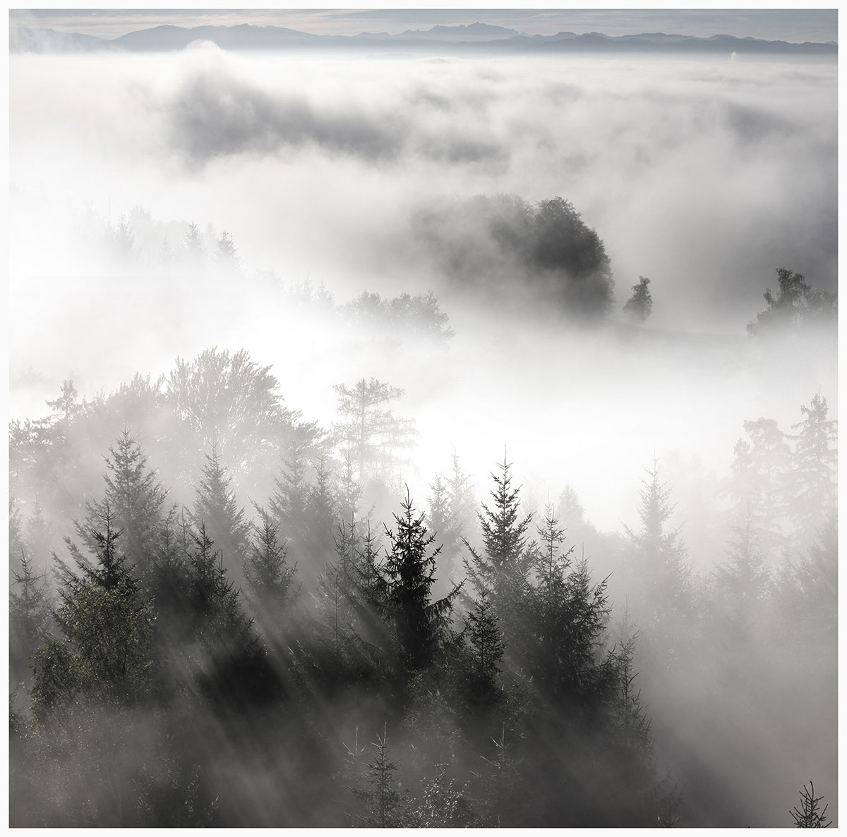 fog Landscape Switzerland
