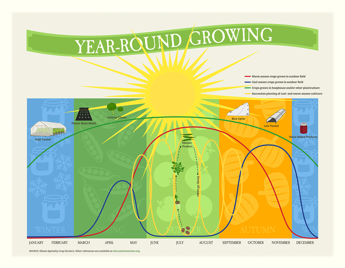 infographic farming produce