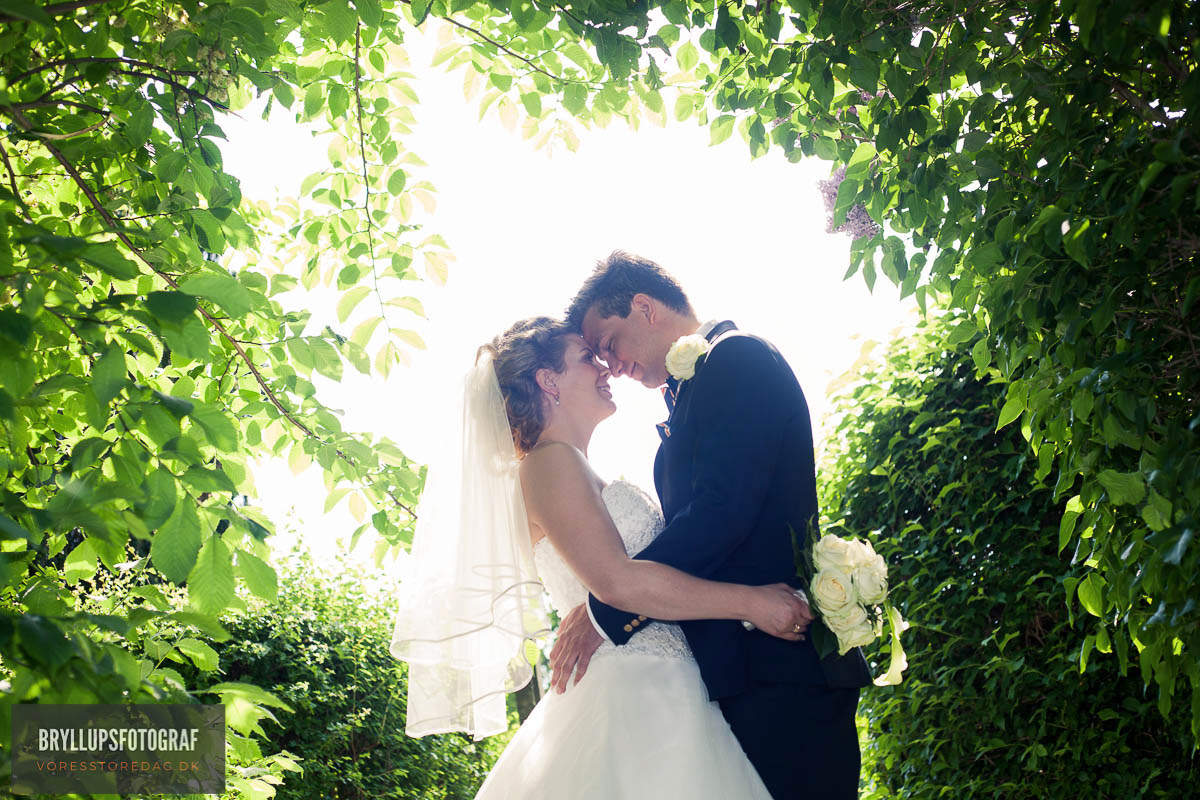 Image may contain: tree, kiss and wedding dress