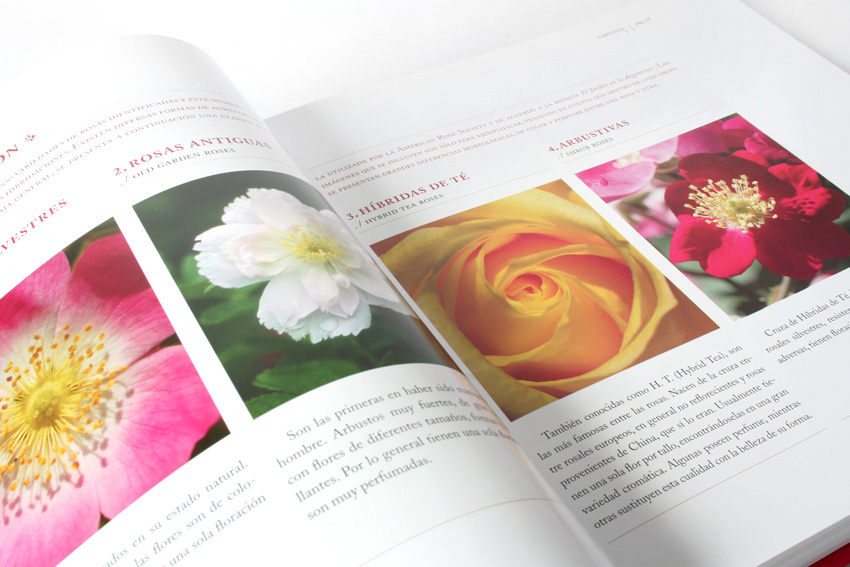 editorial books libros Flowers garden pages Cover Art