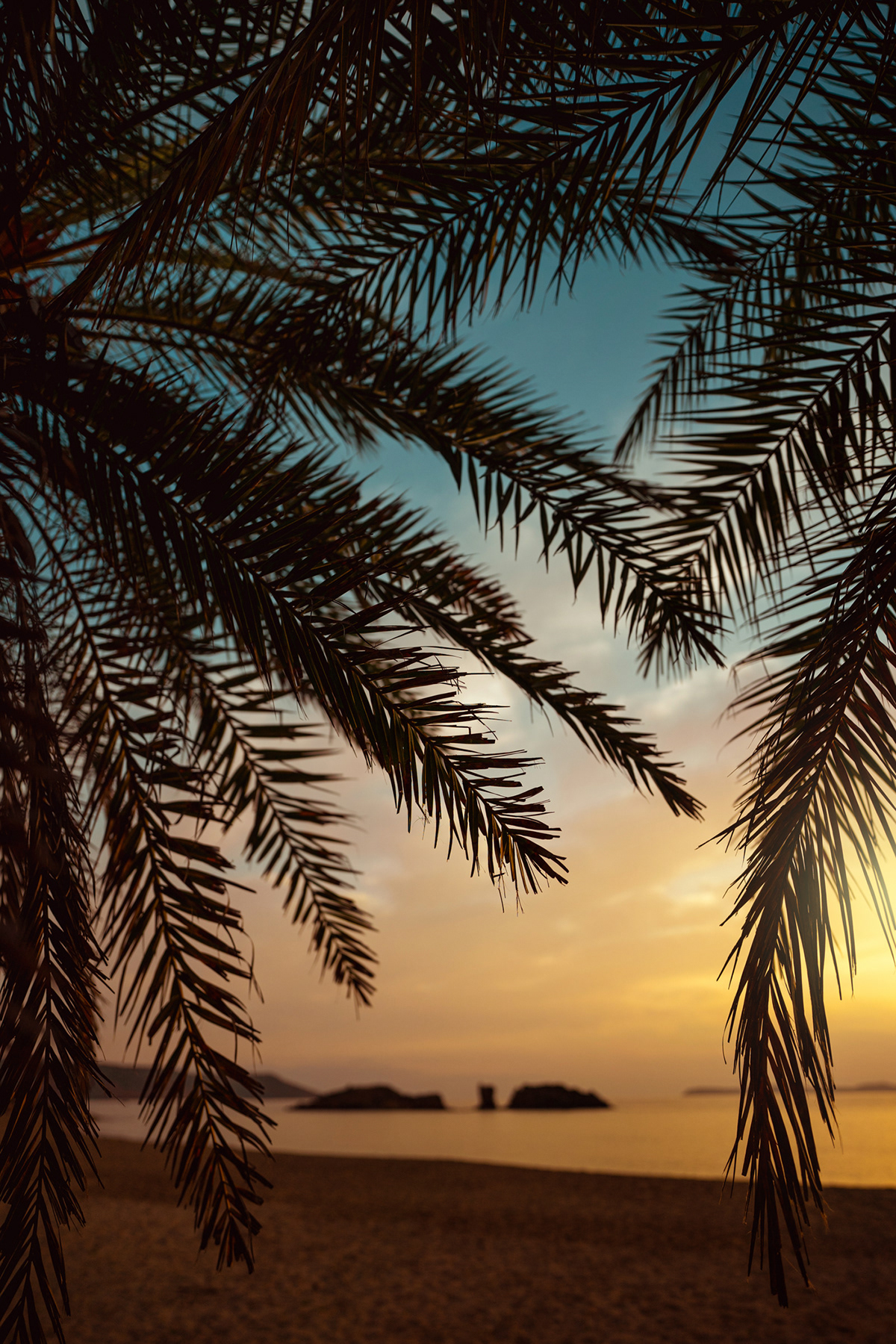 Palm Tree paradise golden hour Crete Landscape