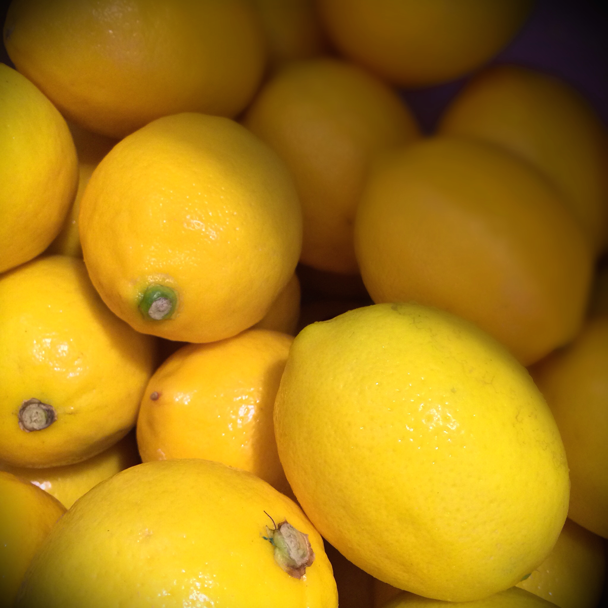 lemon limoncello lemoncello Liqueur booze Label