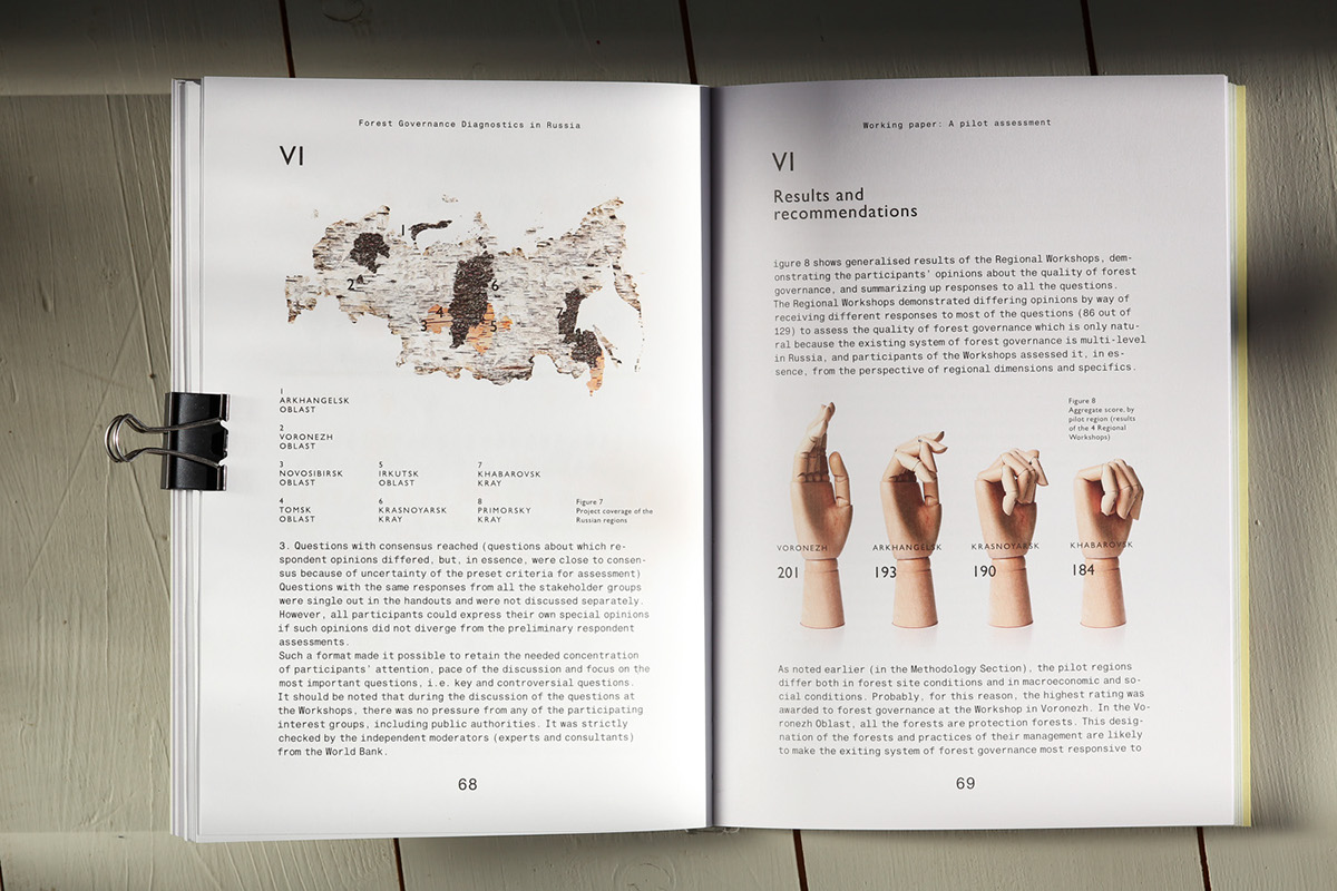 infographics data visualization book forest report Russia United Nations