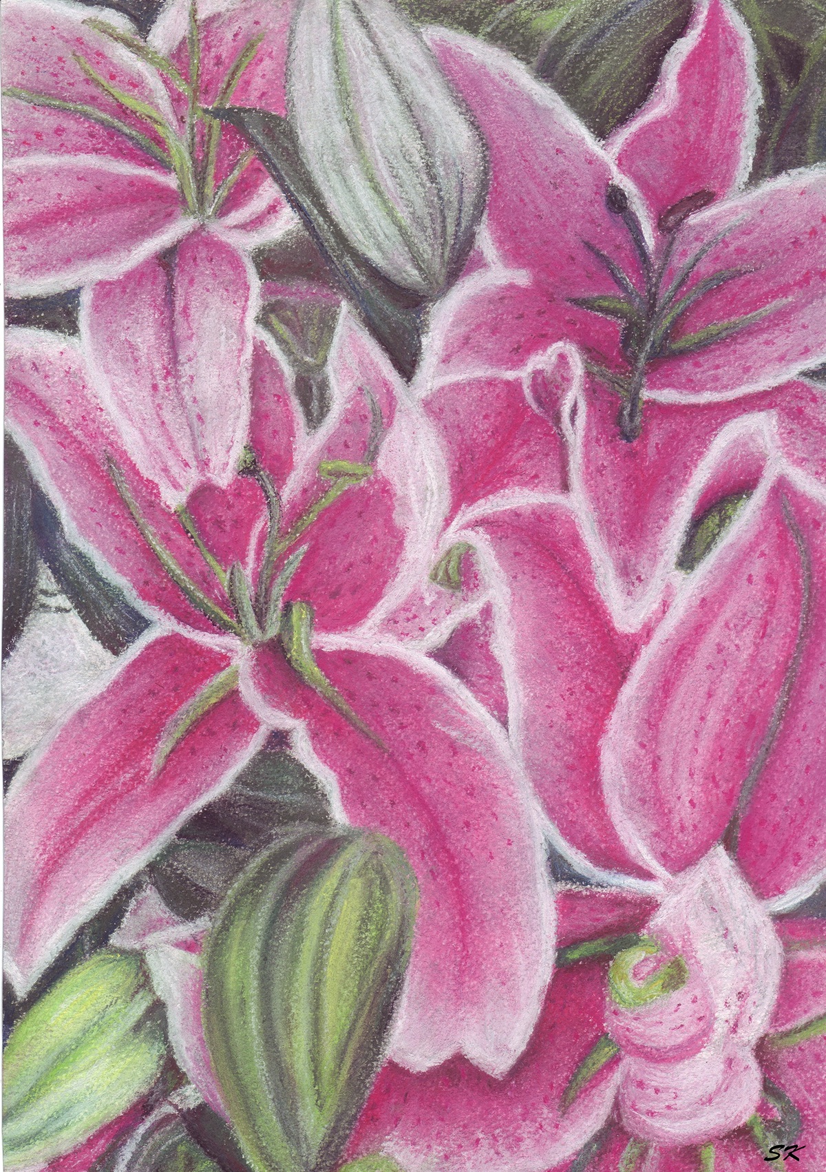 Изобразительные искусства Drawing  soft pastel pastel lillies pink lilies soft pastel art art flowers drawing  Flowers