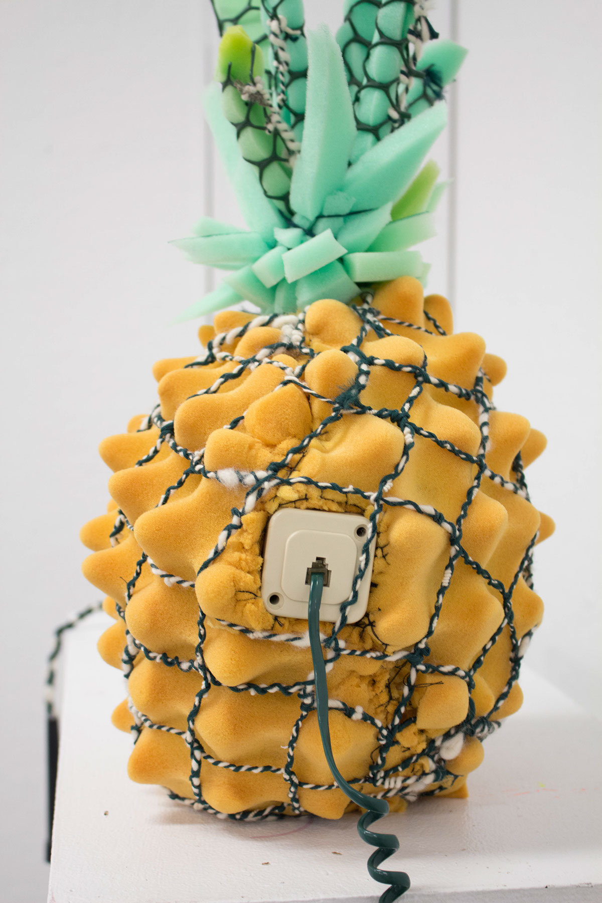 Pineapple fiberandmaterialstudies