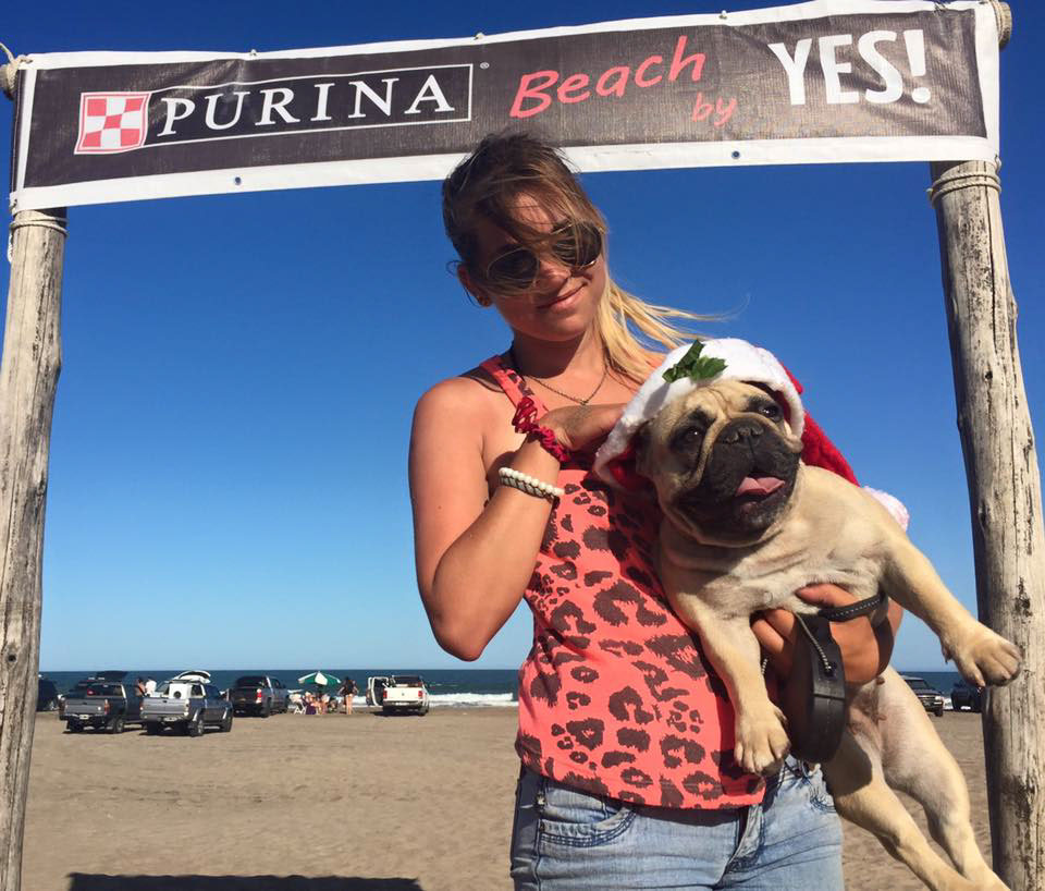 beach playa dog perro Purina marketing   pet friendly Pet Mascota amigable Agility Games Juegos pop