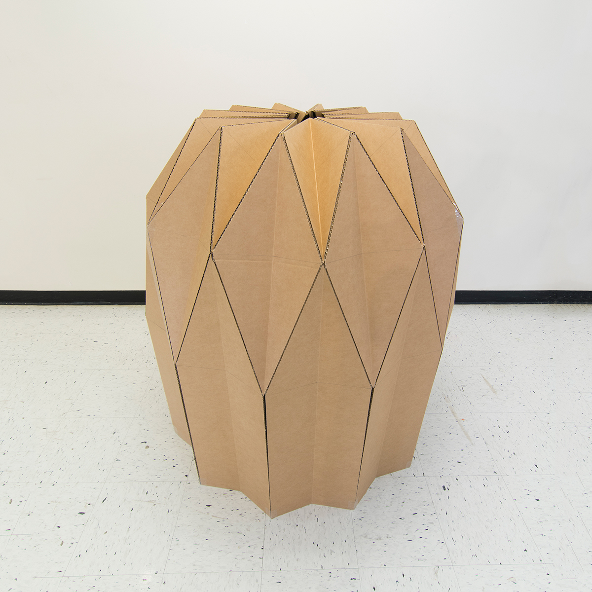 cardboard portable Isolation geometric folding
