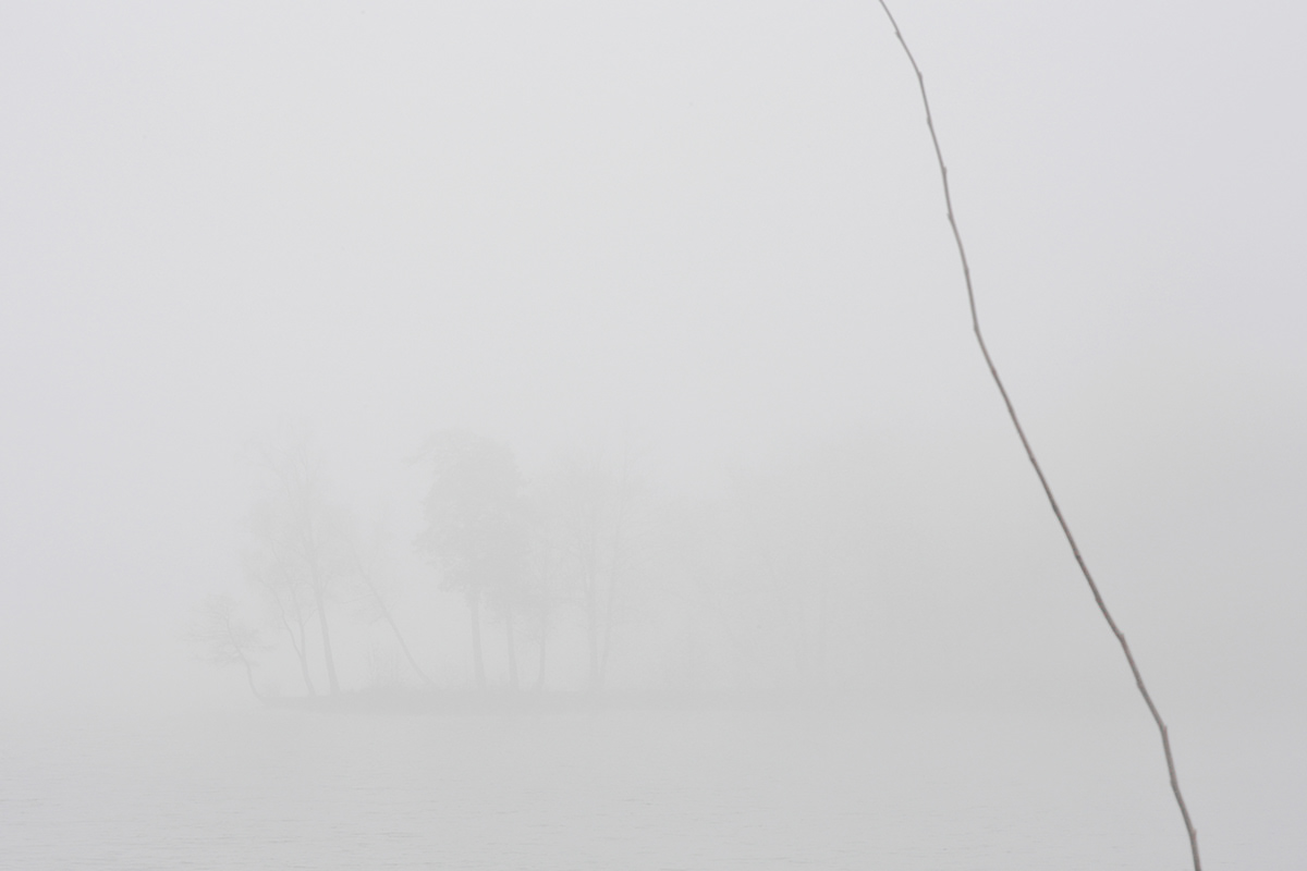 lithuania lietuva minimal Minimalism fog Fog Photography floral Sad Nature