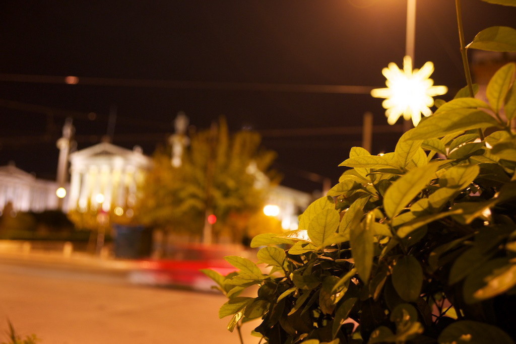 athens Christmas Tree  Greece light road dog shop window Shopping University monument