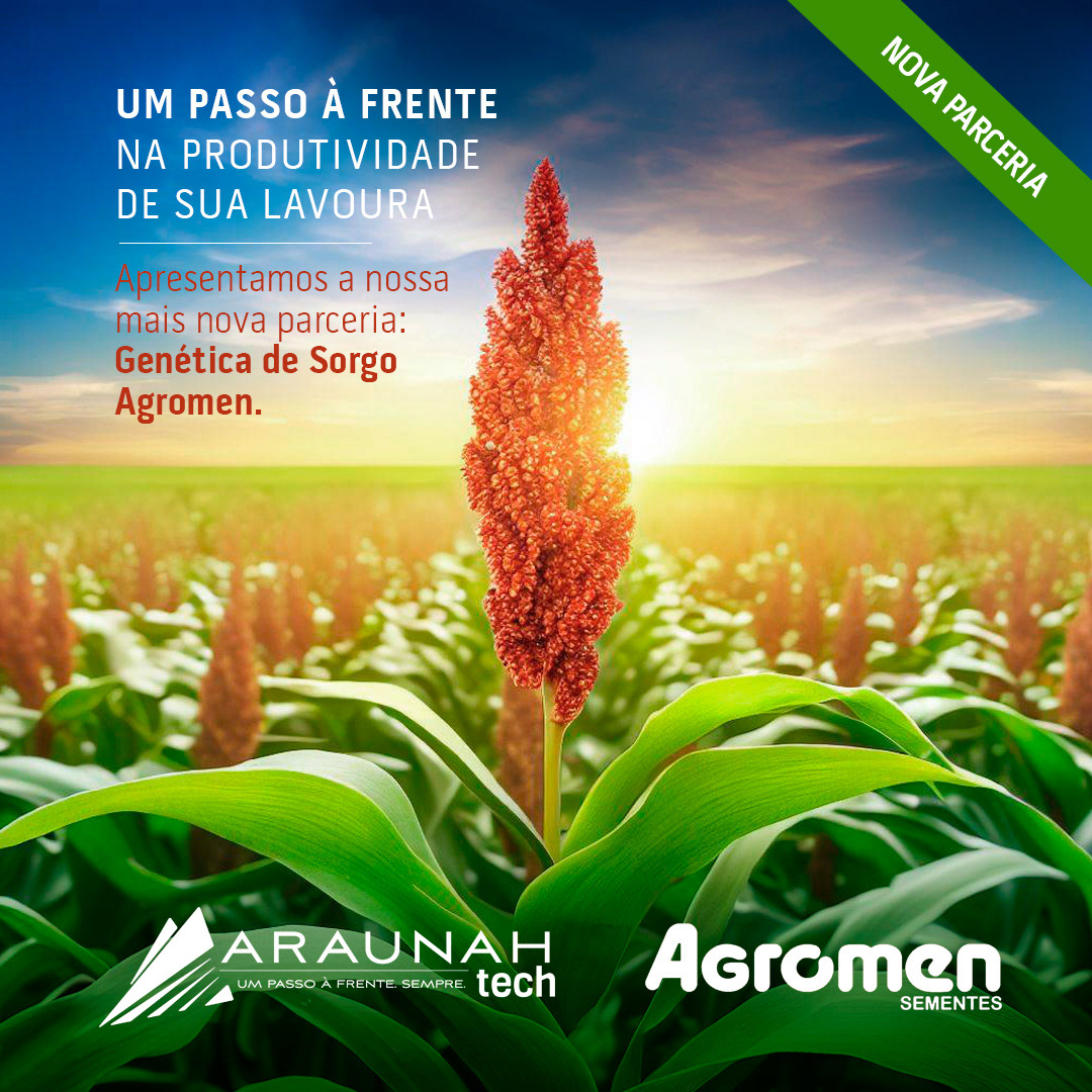 Agro agricultura agriculture Agronegócio milho soja cobertura sementes sorgo