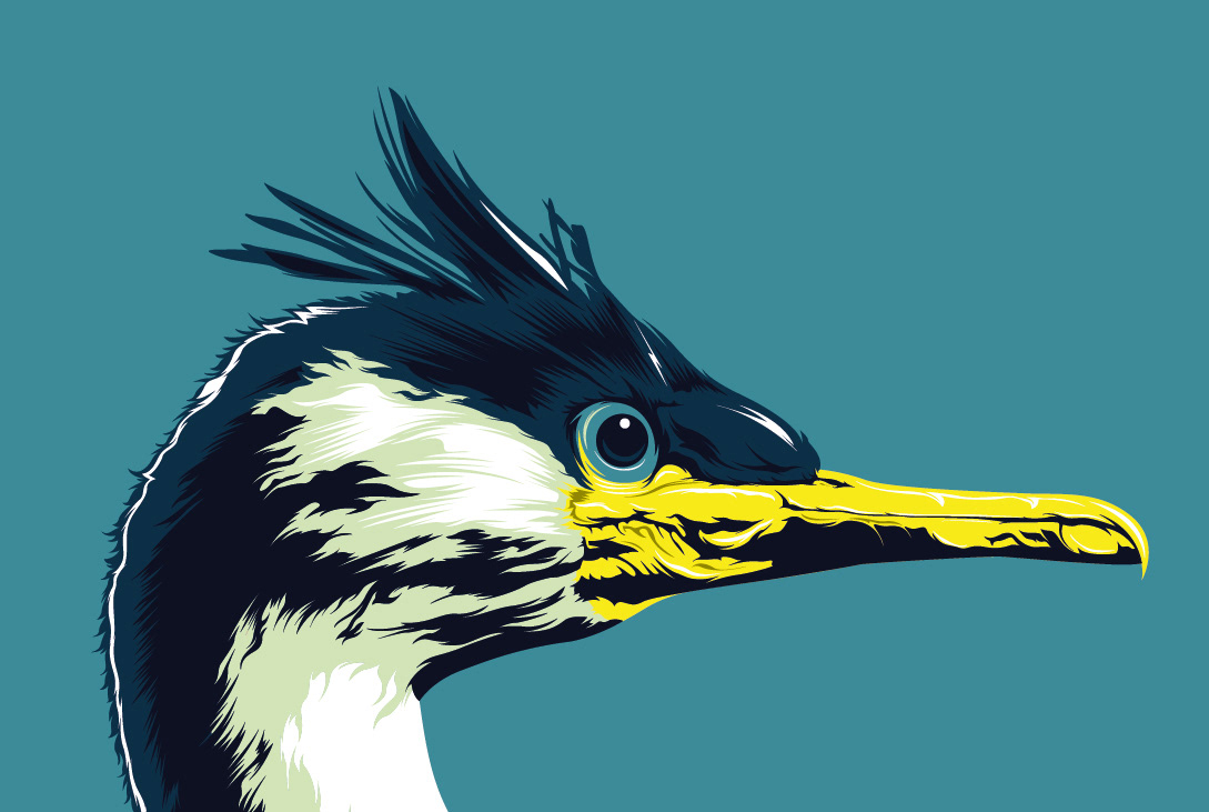 torek art vector vector art print sketch bird
