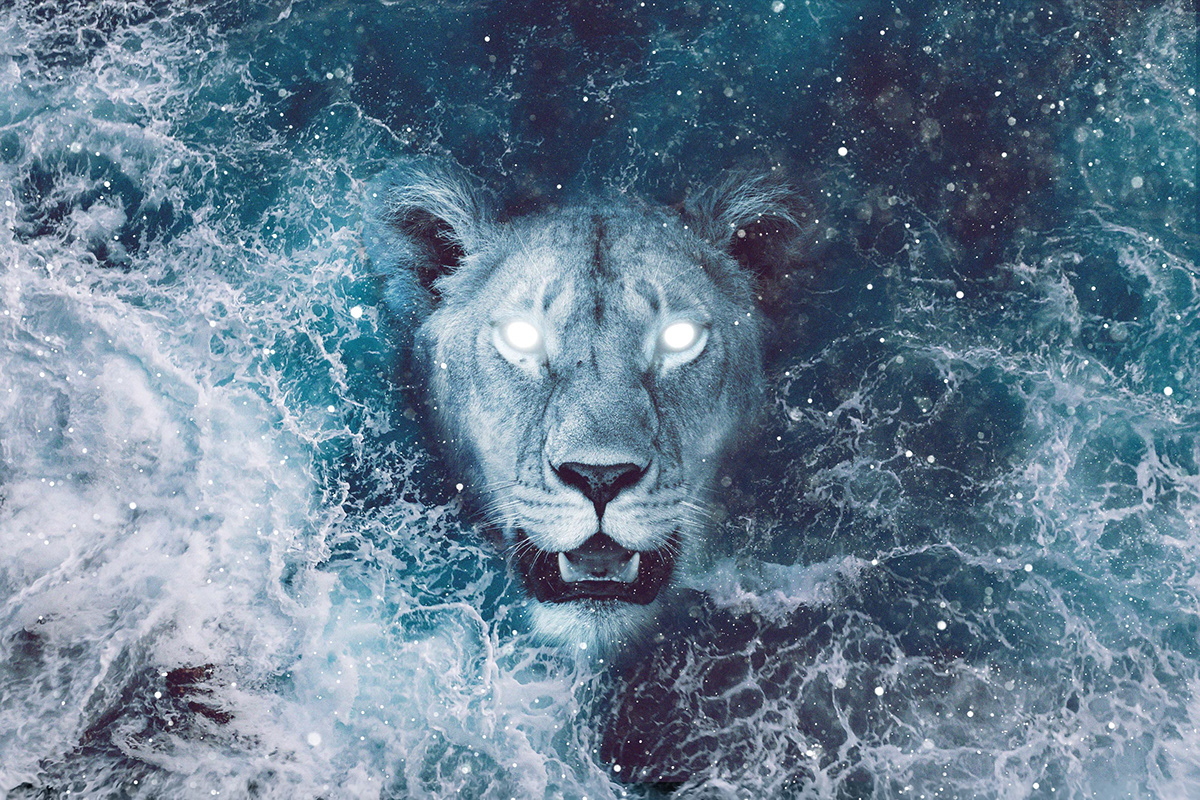 Adobe Portfolio Andrés Mencía fire lion photoshop cats cosmic lioness Ocean panther sea Space  storm tiger universe water