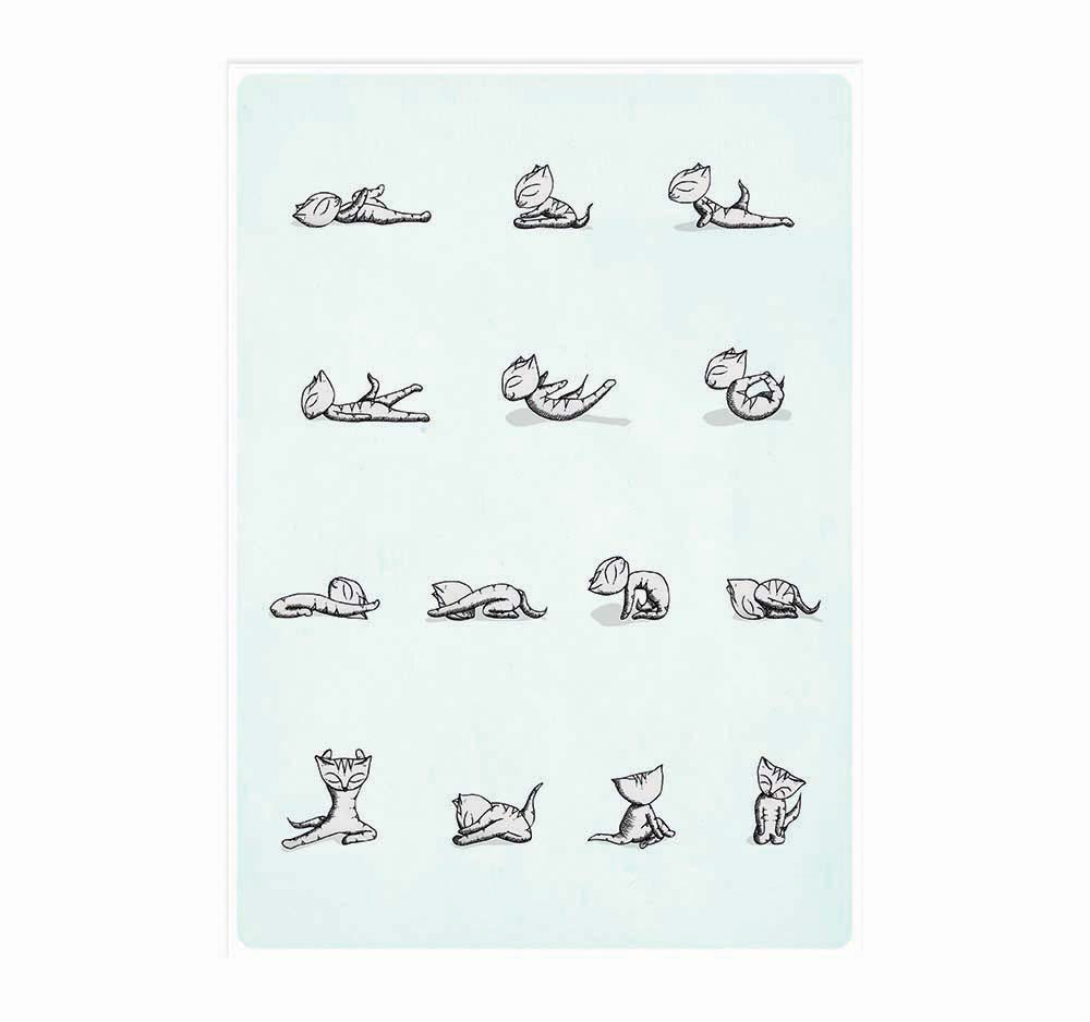 cat illustration cat drawing cat yoga yoga diagram yoga instruction