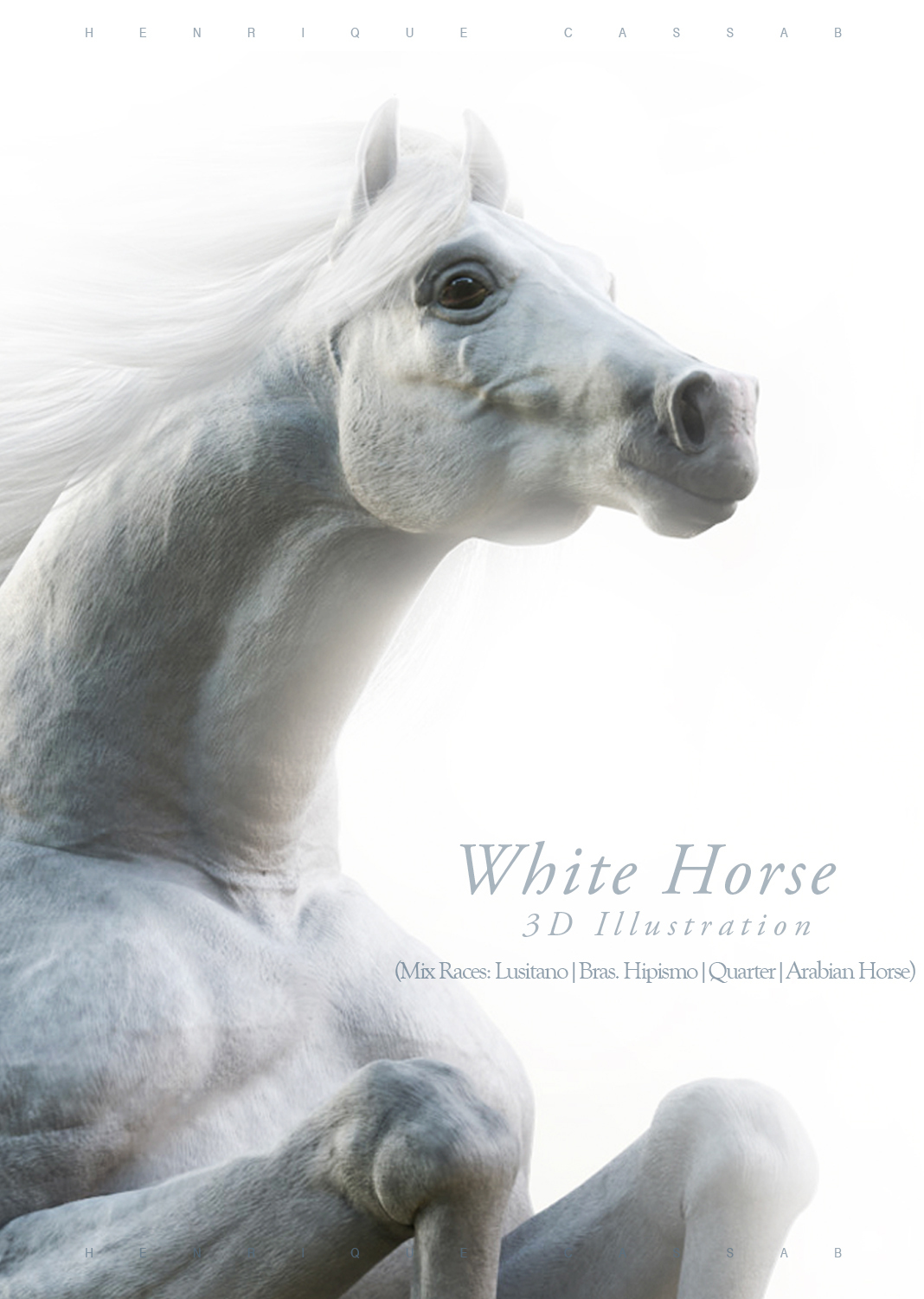 white horse 3D Henrique Cassab