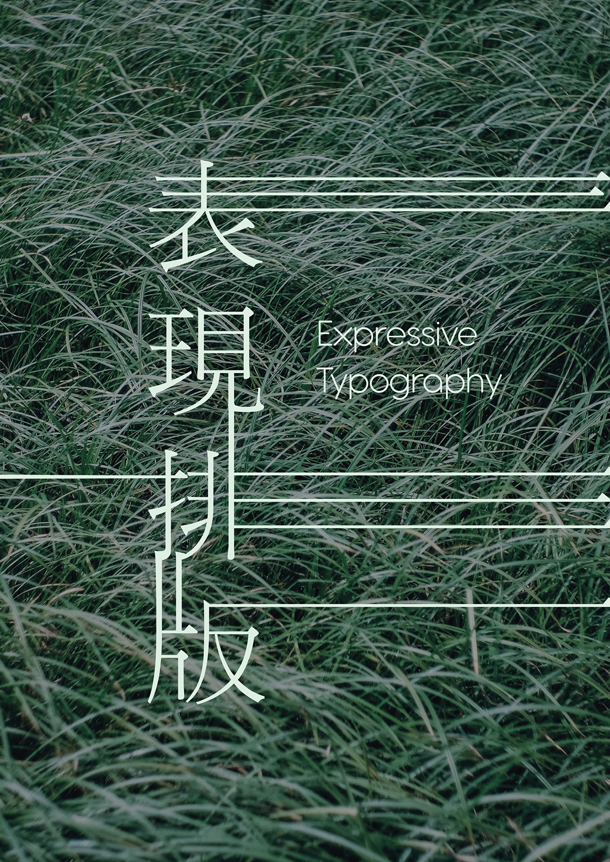 arrange chinese design expressive font graphic Layout mandarin Photography  typography  