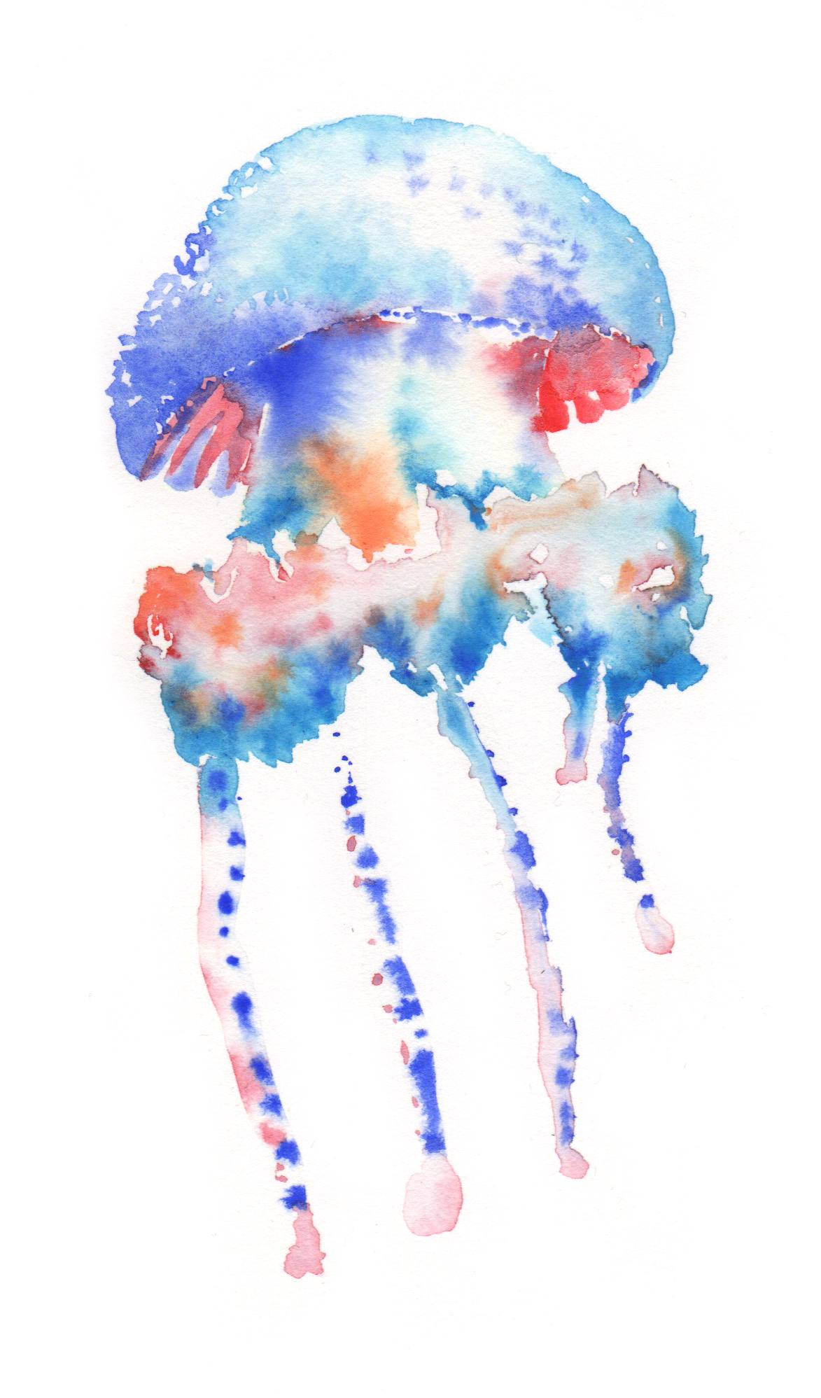 gouache aquarium HAWAII jellyfish watercolor Cel Animation