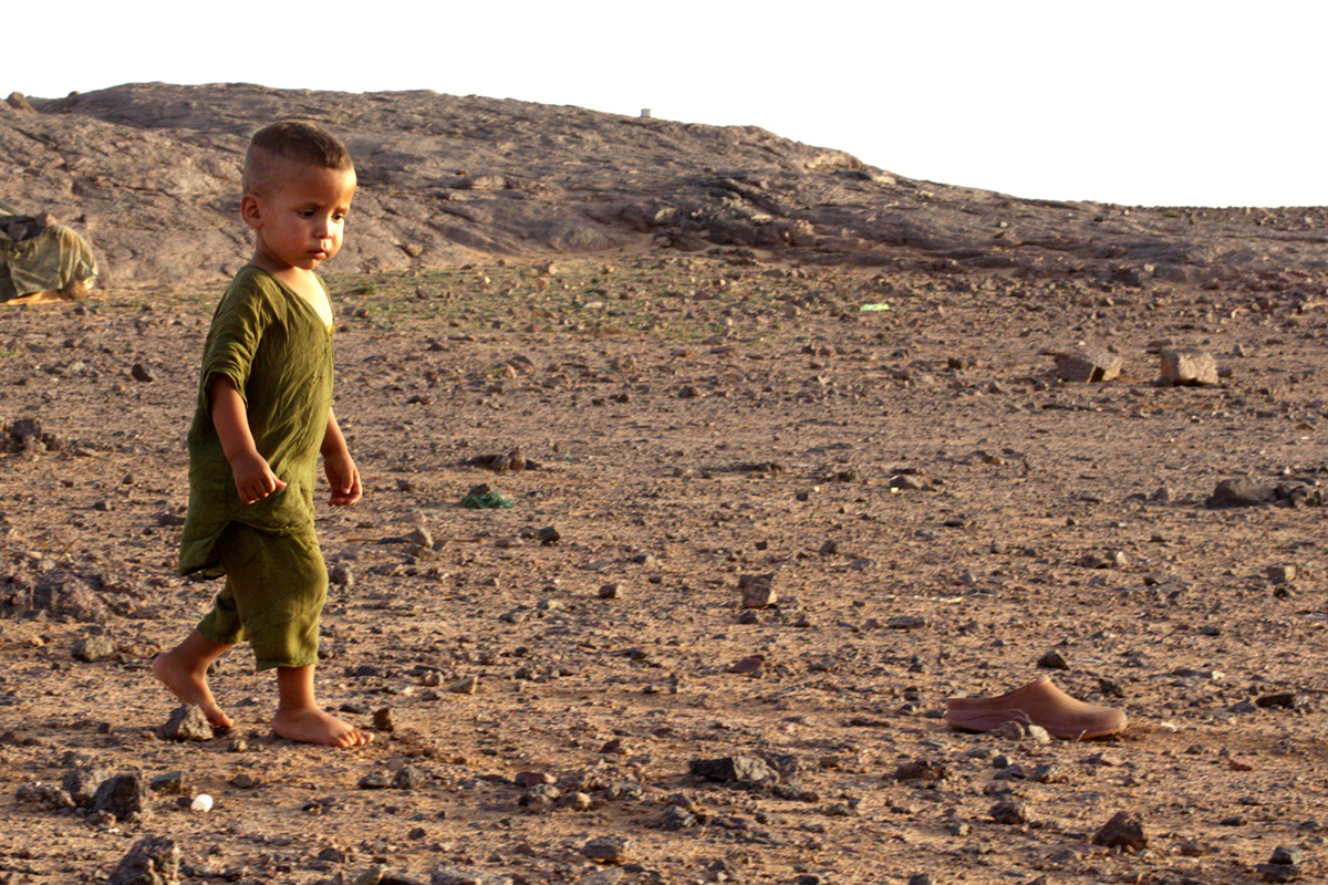 sahara Western Sahara dajla ISF