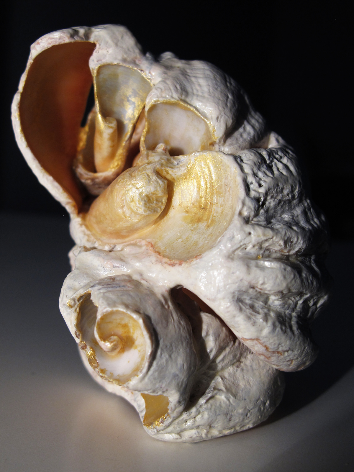 Shell Sculpture shell clay nautilus