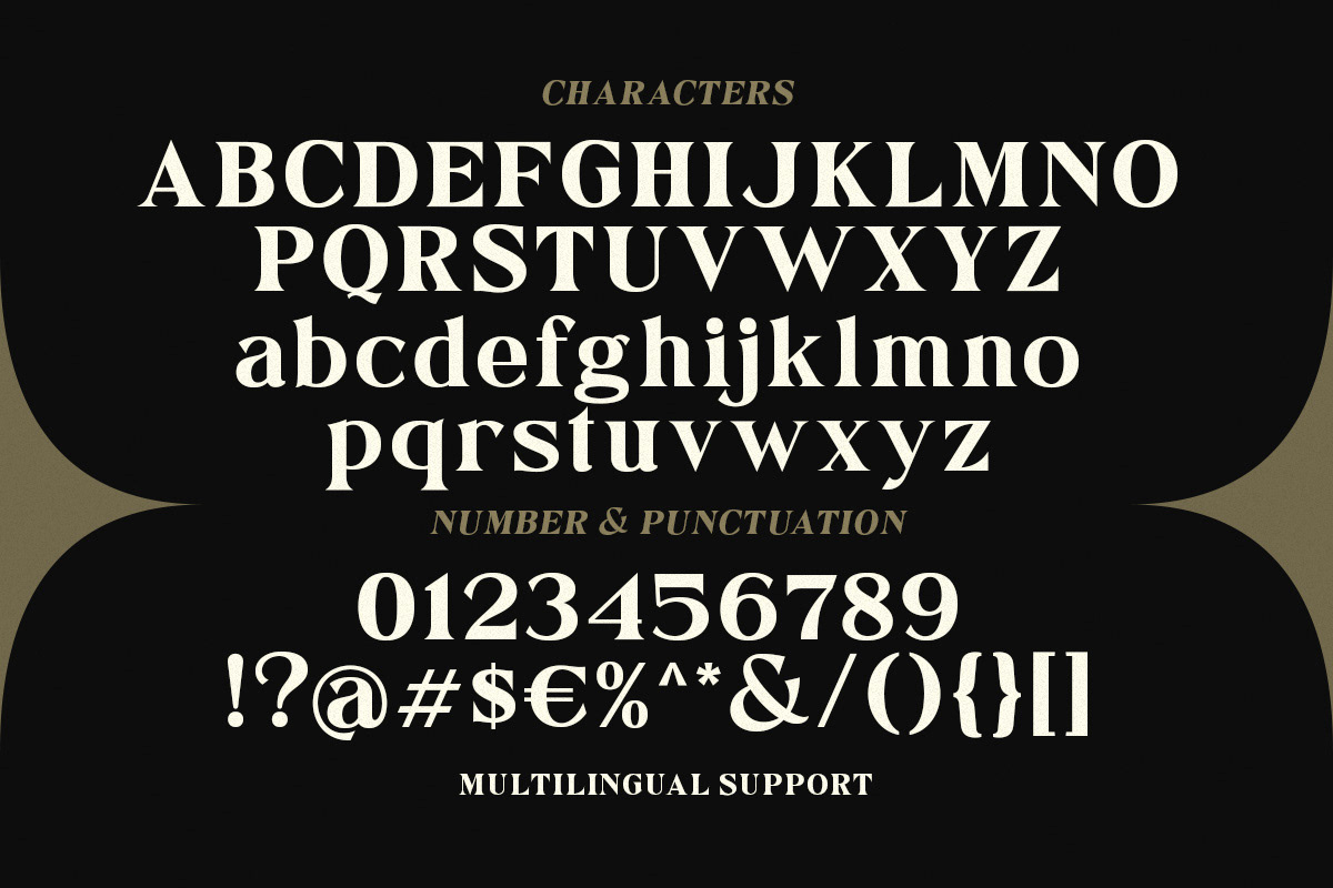 stylish serif organic font luxury font Font Bundle cursive font font pair expensive exclusive modern font