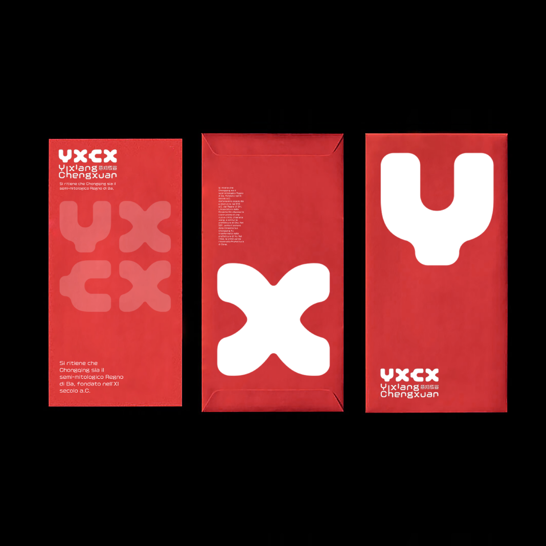 branding  china chongqing design educational graphicdesign typography  