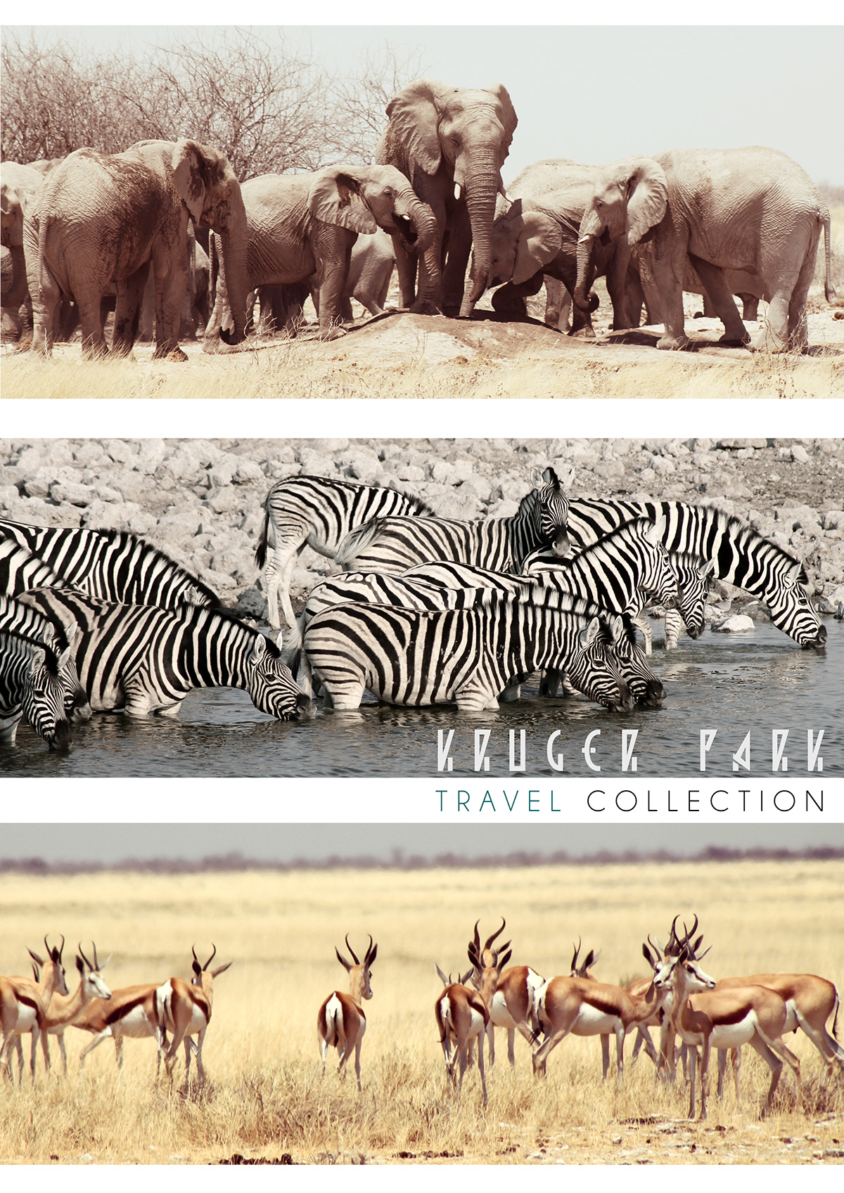 Travel Collection south africa