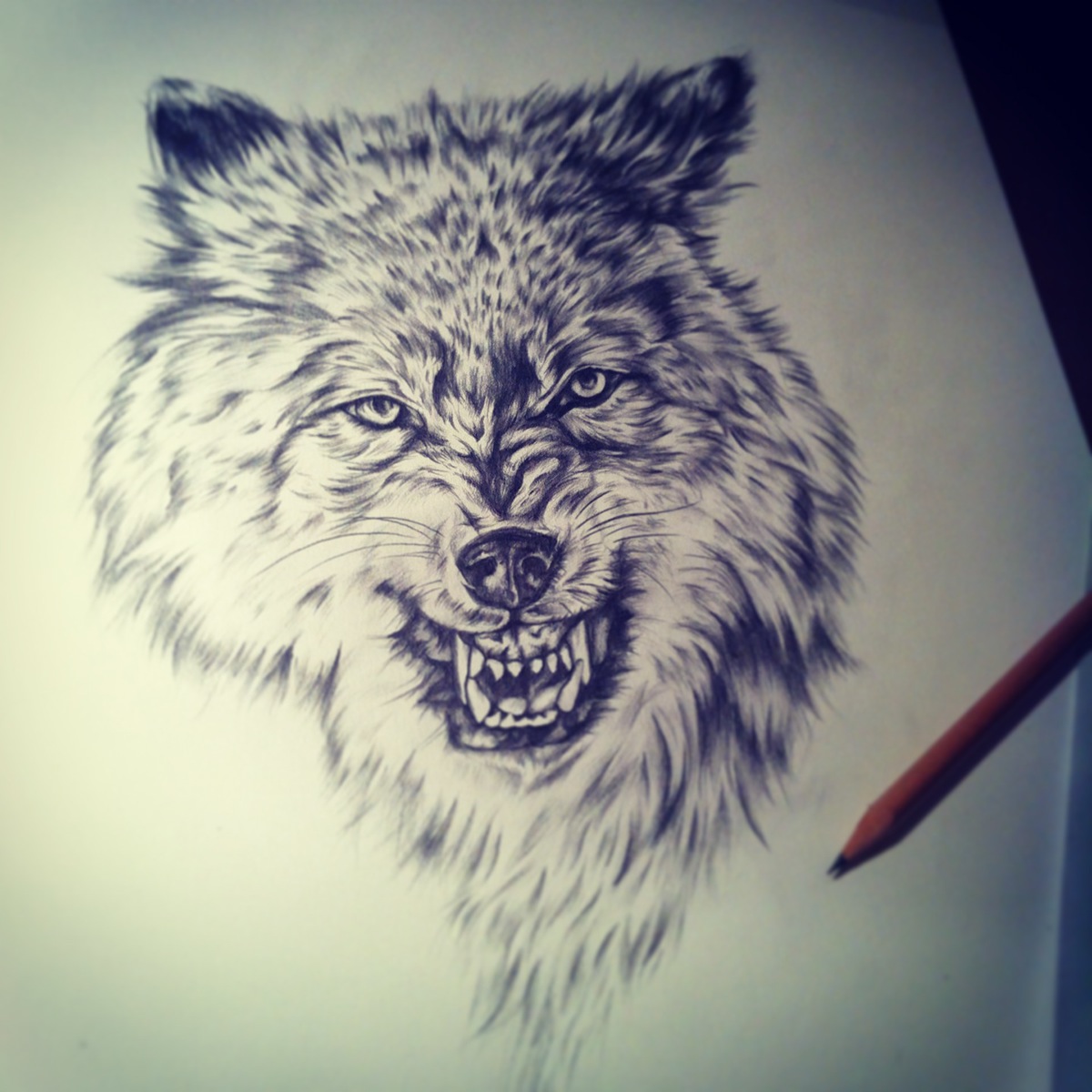 wolf pencil sketch for sale Original wolves animals Realism trees merch design merchandise
