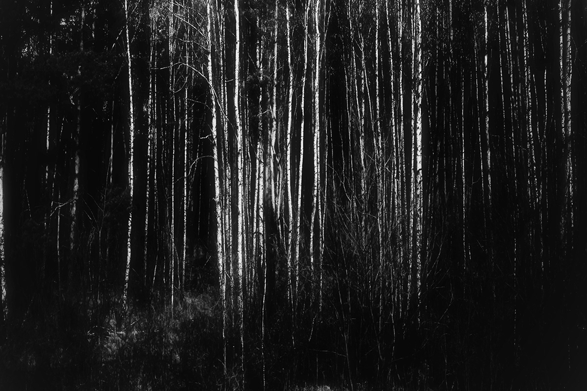 black and white conceptual Garud Puran modern monochrome noir spiritual surreal visceral vru patel