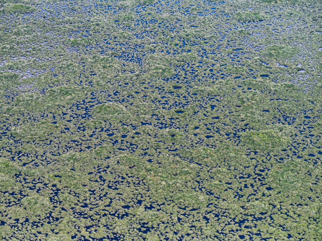 Everglades florida Nature abstract Patterns Aerial streets Rocket Base Landscape usa swampland ecosystem