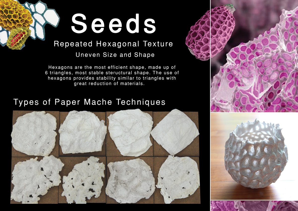surface texture seeds organic Bio-mimicry light effects plants resin clay