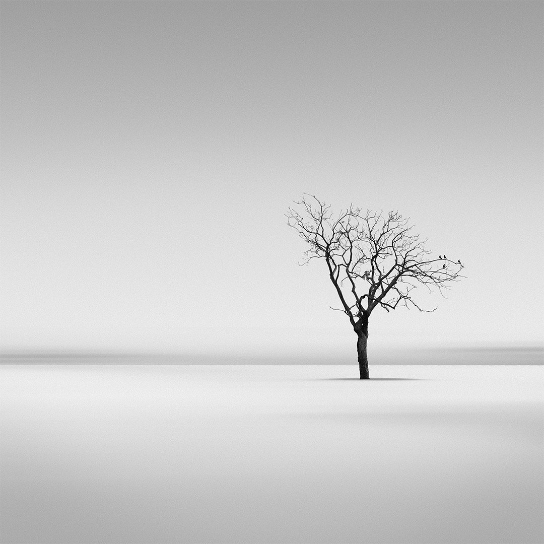 monochrome Photography  fine art black and white Monochromatic Minimalism long exposure digital photography  film photography landscapes