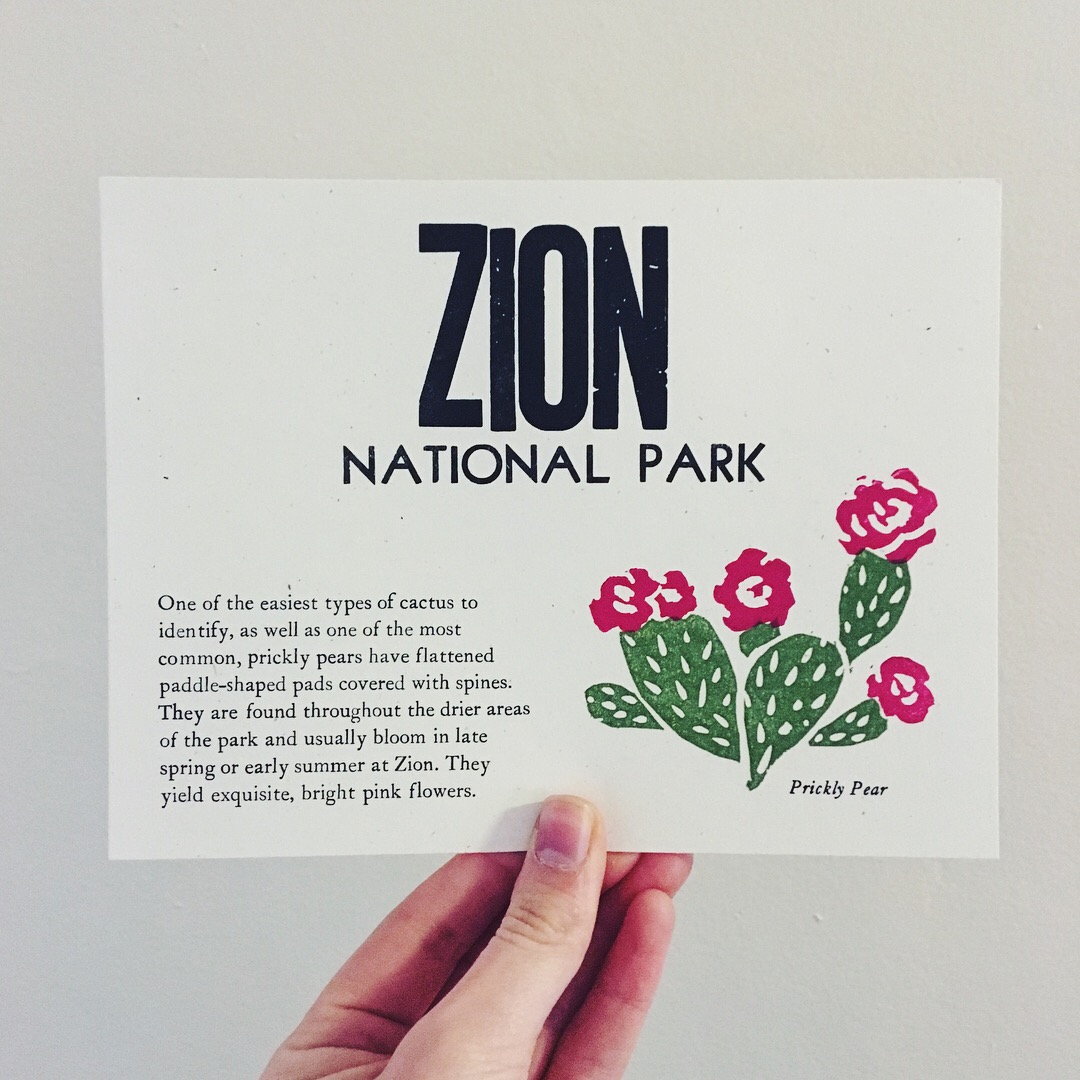 letterpress National Park yosemite zion denali Nature design print