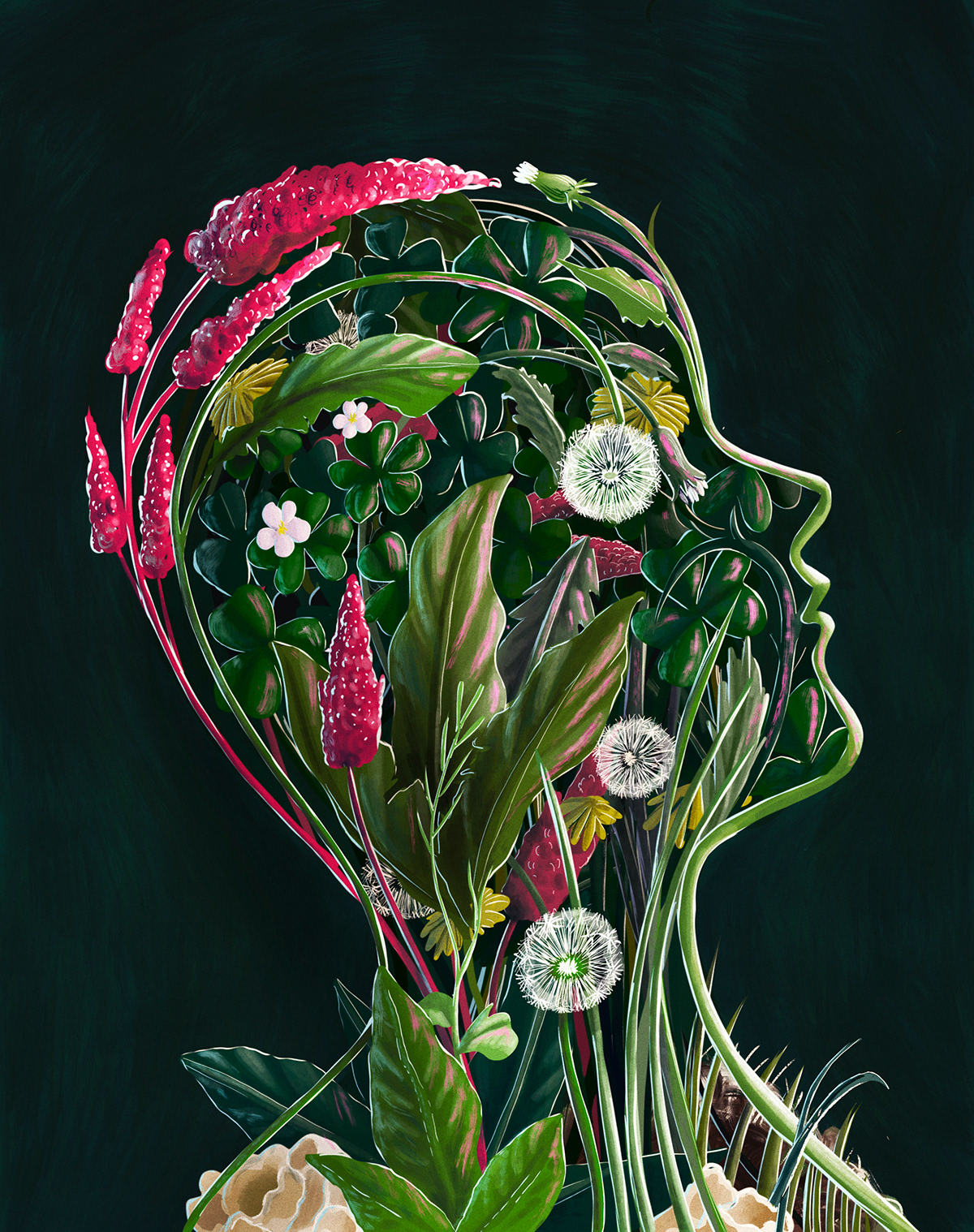 Adobe Portfolio cover Cover Art Drawing  editorial ILLUSTRATION  magazine Nature painting   Wild Food