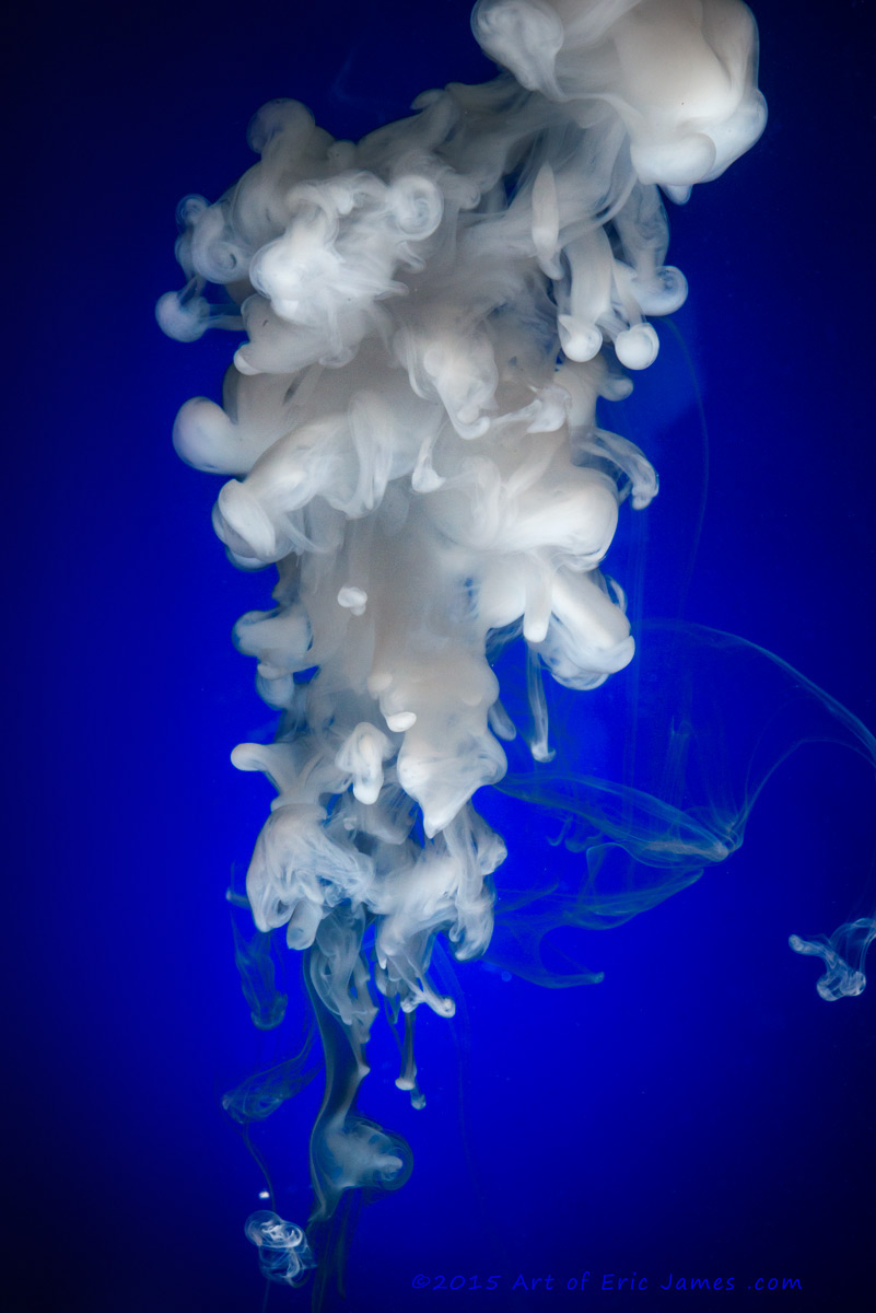 artofericjames water fluid motion clouds Special Effects Billow blue milk h2o Fish Tank