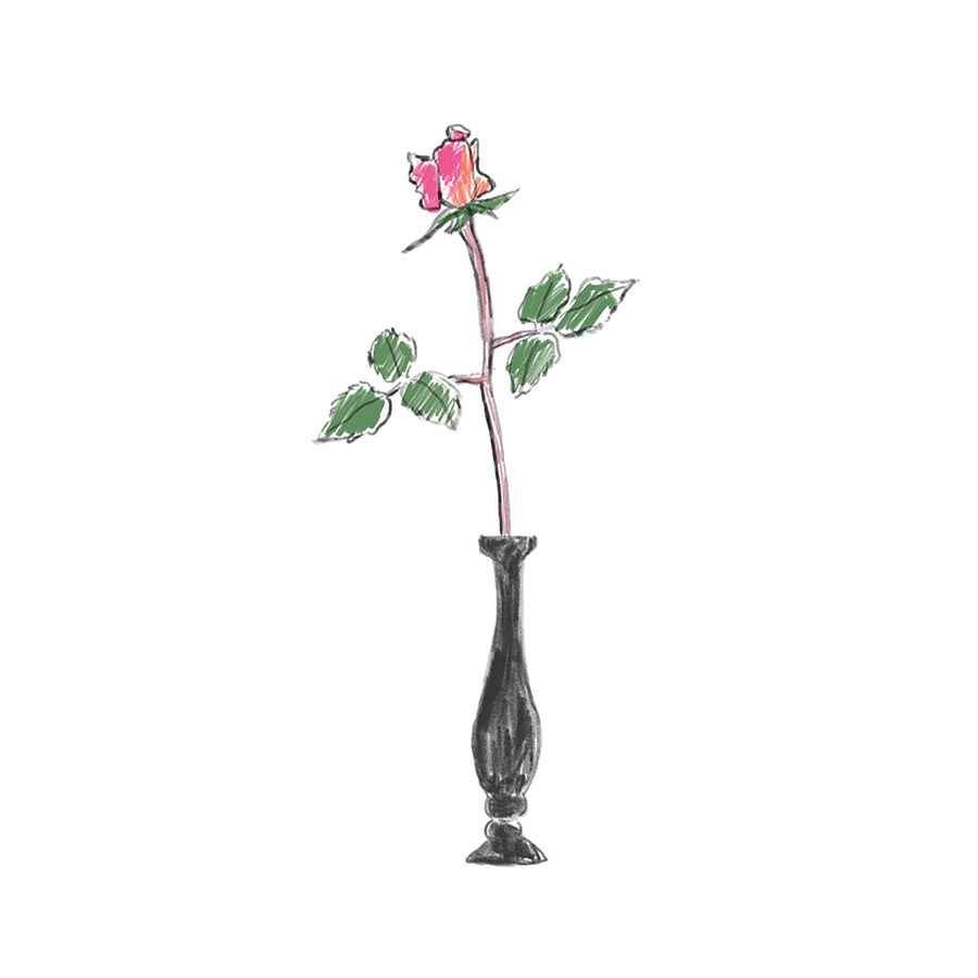Illustration of Rose