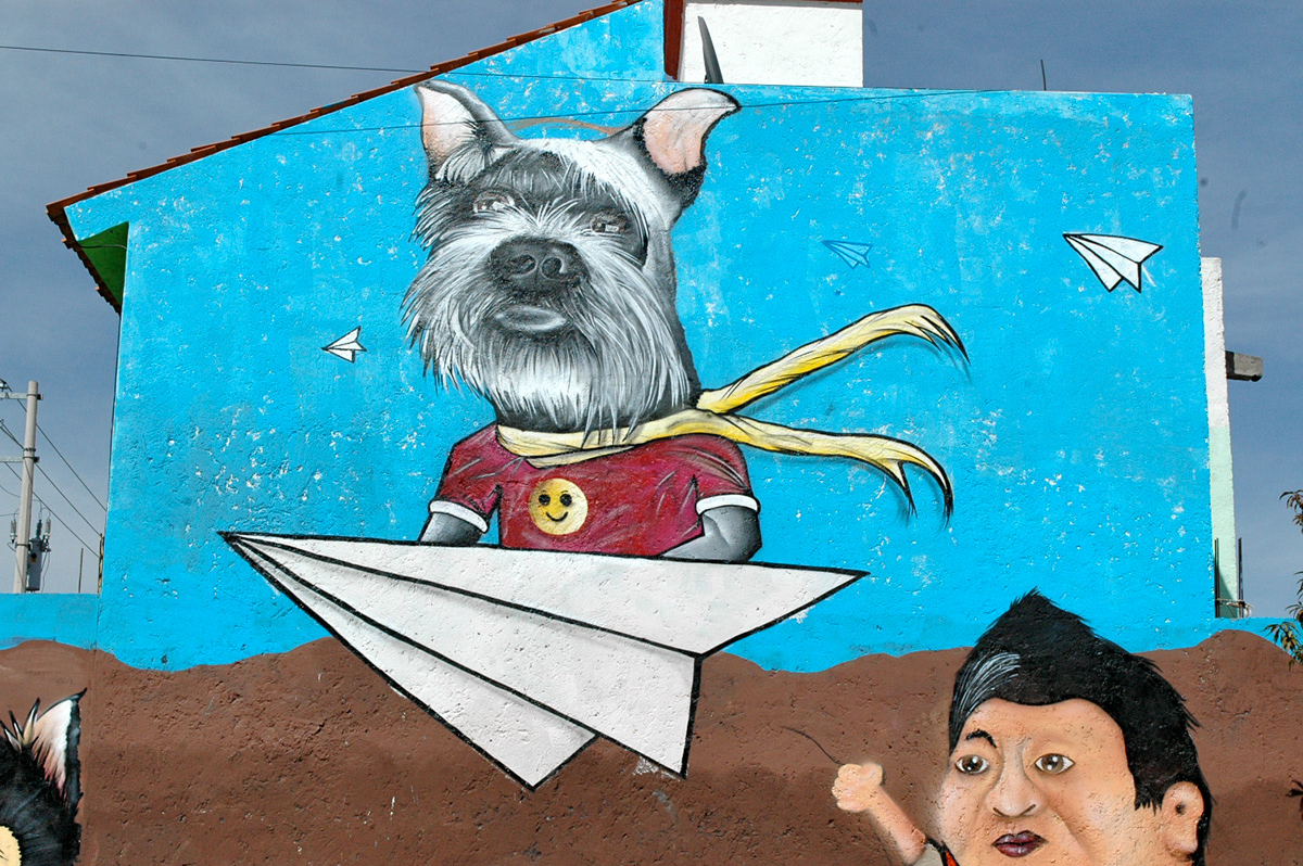 #graffiti #Tiempodeperros #Mascotas #dogs #street art #Calle #Mexico   #Querétaro