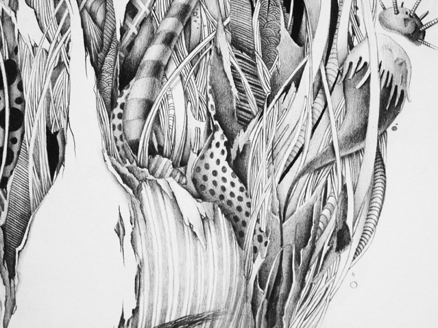 women portrait graphite pen pencils black and white destructuration