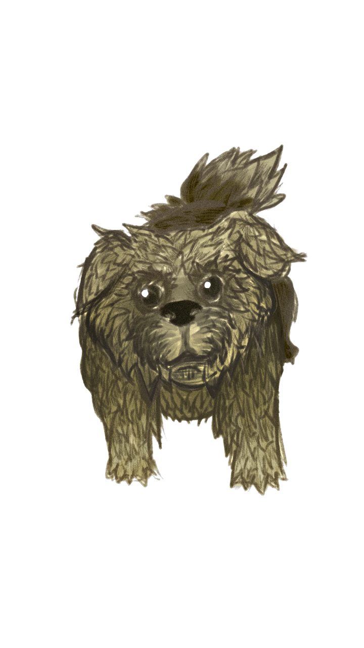doge dog hairy dog hair puppy pupper philippines Manila depth of field autodesk sketchbook