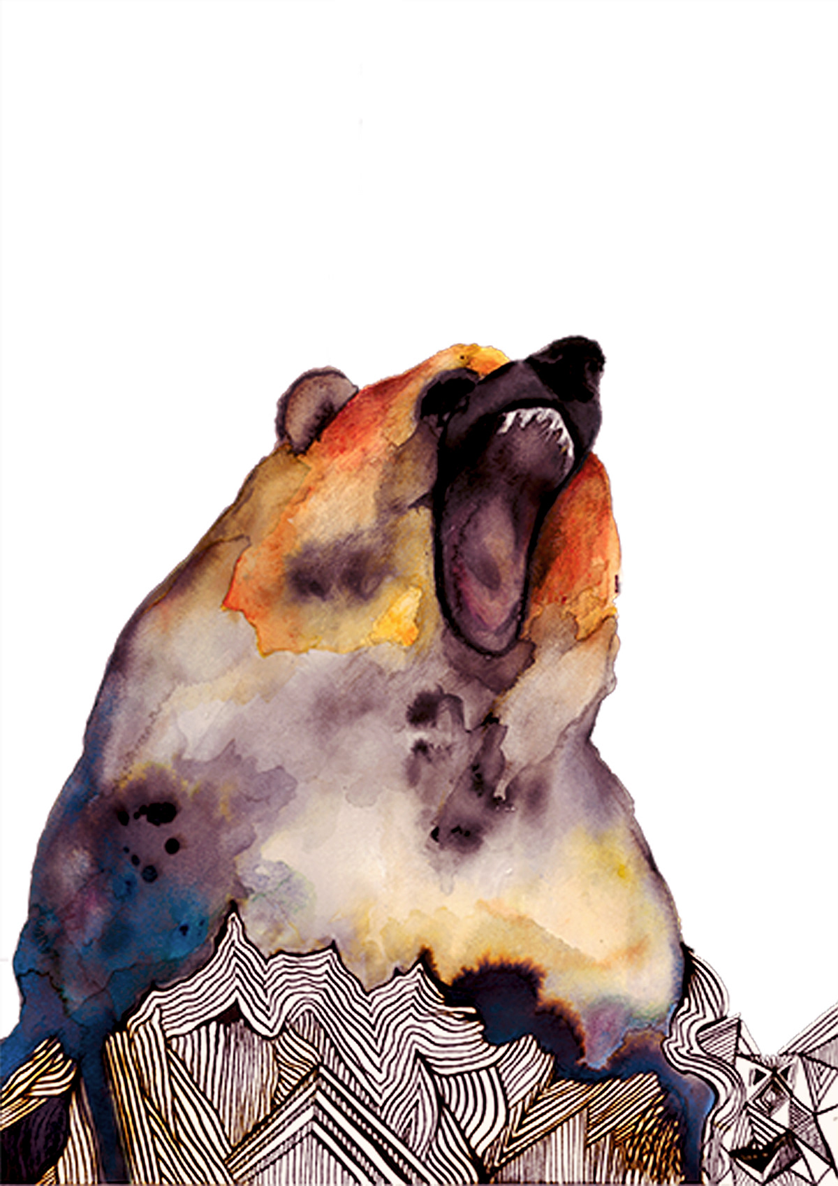 watercolour ink pencil art animal portrait abstract