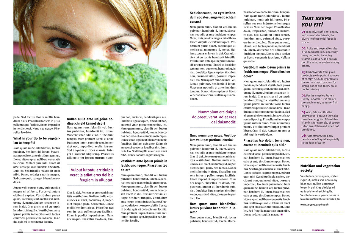 liu Magazine design Veggie Zone Vegetarian Tomas Törnqvist Tobias Trofast Linköping University student vegetables green lifestyle meta